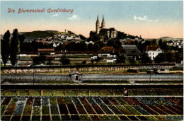 Blumenstdt Quedlinburg - Quedlinburg