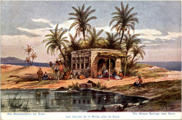 Die Mosesquellen Bvei Suez - Suez