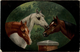 Pferd Horse - Cavalli