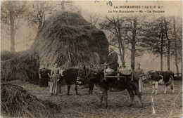 La Vachere - Landwirtschaftl. Anbau