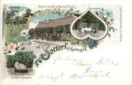 Gruss Aus Sottorf Bei Harburg - Rosengarten - Litho - Andere & Zonder Classificatie