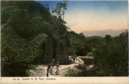 Jamaica - Scene In St. Ann - Jamaïque