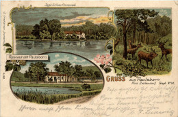 Gruss Aus Paulsborn Bei Zehlendorf - Litho - Zehlendorf