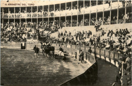 Arrastre Del Toro - Corridas