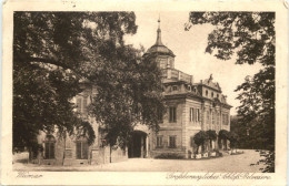 Weimar - Grossherzogliches Schloss - Weimar