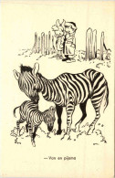 Zebra - Horses