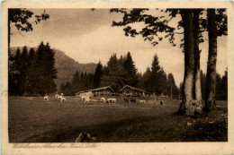 Bad Tölz - Waldherr Alm - Bad Toelz