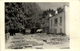 Oppach-Picka - Restaurant Waldfrieden - Sonstige & Ohne Zuordnung