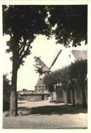 Marne In Holstein - Mühle Von Der Fecht - Autres & Non Classés