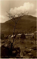 Beddgelert - Caernarvonshire