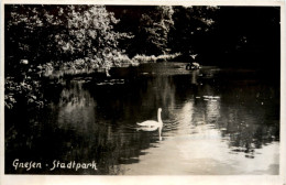 Gnesen - Gniezno - Stadtpark - Polonia