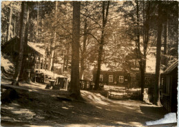 Köhlerhütte Fürstenbrunn Bei Schwarzenberg - Grünhain