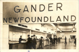 Gander Newfoundland - Otros & Sin Clasificación