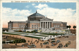 Chicago - Shedd Memorial Aquarium - Chicago