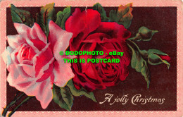 R543011 A Jolly Christmas. Red Rose. 1910 - World