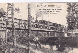 Chatillon Coligny (45 Loiret) Imprimerie Ruet Bourdet "réclamez Colis Gare Du Tramway" Sur Carte Pont Du Canal De Briare - Chatillon Coligny