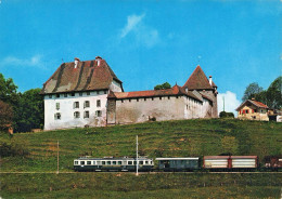 CPSM Château De Vaulruz-RARE    L2875 - Sonstige & Ohne Zuordnung