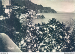 V103 Cartolina Amalfi Panorama Provincia Di Salerno - Salerno