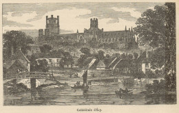 England - Ely - View Of The Cathedral - Stampa Antica - 1892 Engraving - Stiche & Gravuren