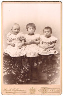 Fotografie Bernh. Hoffmann, Arnstadt, Drei Kleine Kindern In Weissen Kleidern  - Anonyme Personen