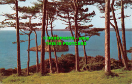 R543747 Thatcher Rock Through Pine Forest. Torquay. 1055. Natural Colour Series. - Monde