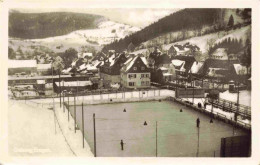 73973804 Geising_Erzgebirge Panorama Eisstadion - Geising