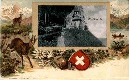 Wildkirchli - Litho - Sonstige & Ohne Zuordnung