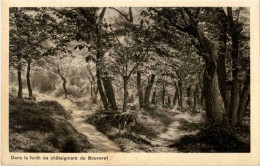 Dans La Foret De Chataigniers Du Bouveret - Andere & Zonder Classificatie