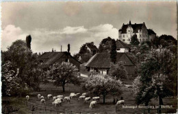 Schloss Sonnenberg Bei Stettfurt - Sonstige & Ohne Zuordnung