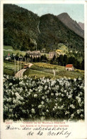 Chemin De Fer Montreux Oberland - Montreux