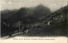 Chemin De Fer Montreux - Oberland - Paysage D Allieres - Montreux