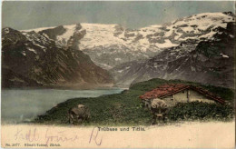 Engelberg - Trübsee - Engelberg