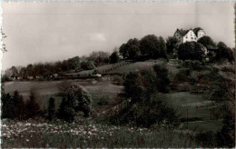 Schloss Wildegg - Sonstige & Ohne Zuordnung