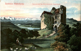 Schloss Habsburg - Sonstige & Ohne Zuordnung