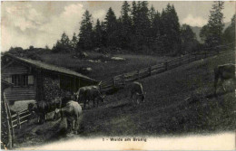 Weide Am Brünig - Sonstige & Ohne Zuordnung