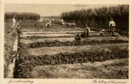 Soerabaia - The Filling Of The Ground - Indonésie