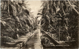 Negombo - Dutch Canal - Sri Lanka (Ceylon)