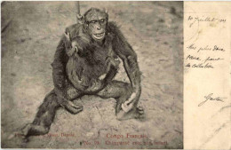 Chimpanse Avec Son Enfant - Monkey - Otros & Sin Clasificación