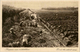 Soerabaja - To Cut The Plant Cane - Indonésie