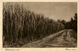 Soerabaia - Poipe Cane - Indonesien