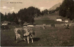 Lungern - Weide Auf Der Burg - Kuh Cow - Lungern