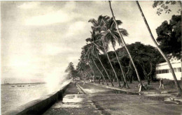 Guinee Francaise - Le Boulevard Lagunaire - Guinée