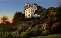 Schloss Habsburg - Other & Unclassified