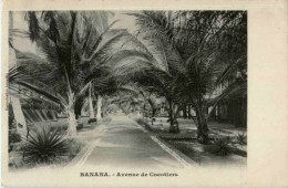 Banana - Avenue De Cocotieres - Sonstige & Ohne Zuordnung