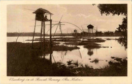 Visscherij In De Rawah Bening - Kediri - Fishing - Indonésie