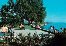 73941482 Immenstaad_Bodensee Promenade - Andere & Zonder Classificatie