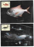 Peixes Madeira 1986 - Cartes-maximum (CM)