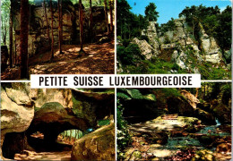 29-4-2024 (3 Z 25 Luxembourg (posted To France (1975) Petite Suisse - Autres & Non Classés