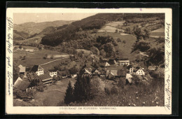 AK Tegernau / Wiesental, Panoramablick Von Der Bergwiese  - Andere & Zonder Classificatie