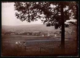 Fotografie Brück & Sohn Meissen, Ansicht Neustadt I. Sa., Panorama Von Der Gotzingerhöhe Gesehen  - Lieux